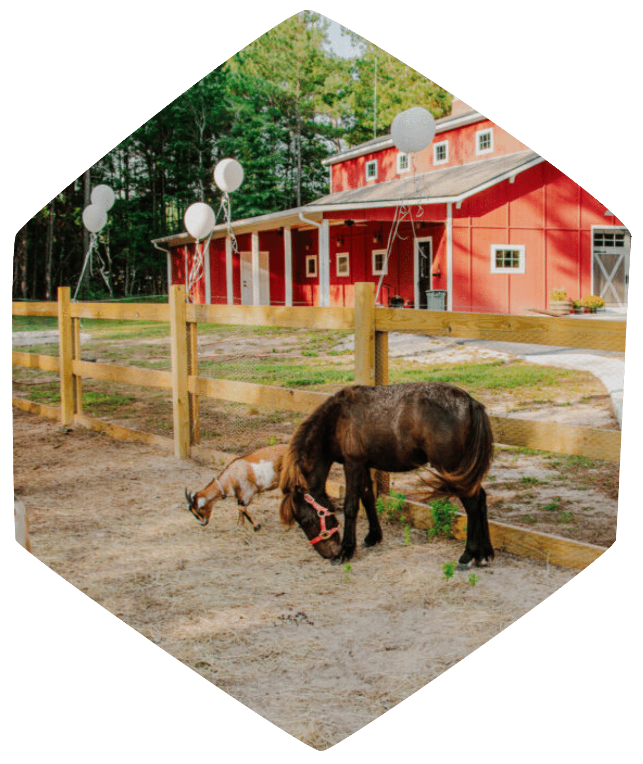 our-farm